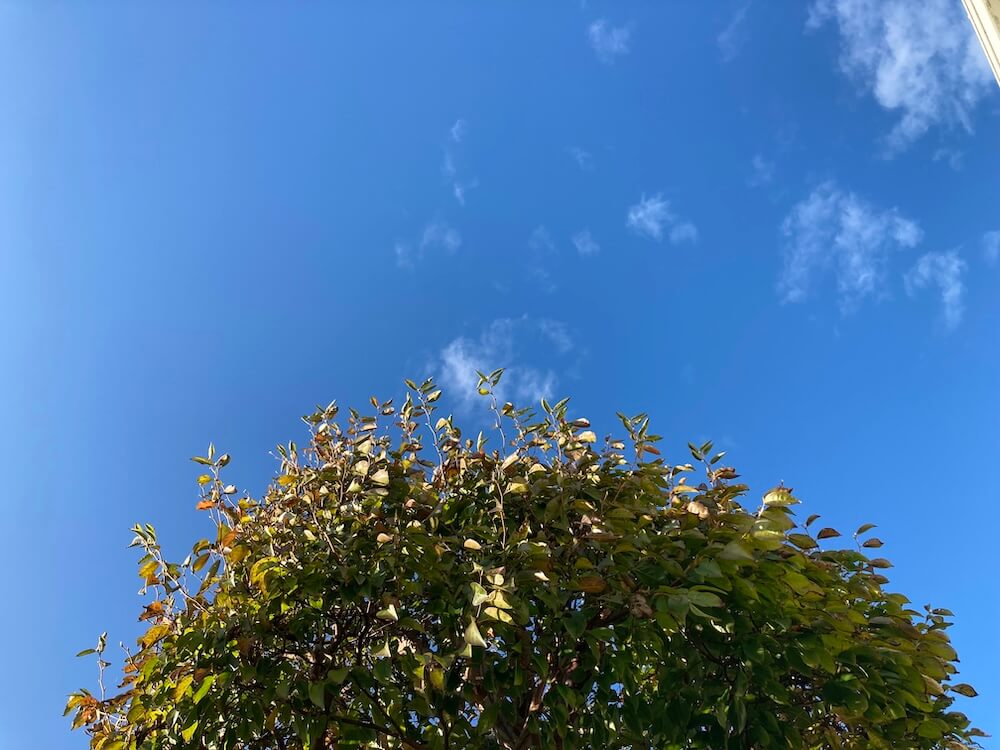 熊本の空