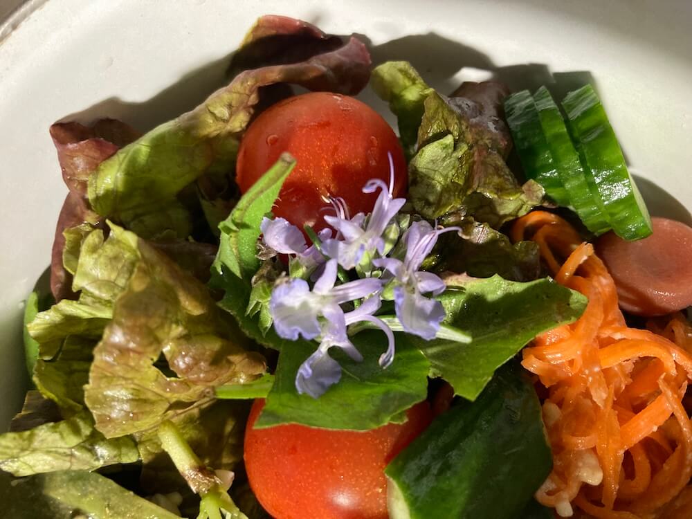 美味しいローズマリーの花入りサラダ