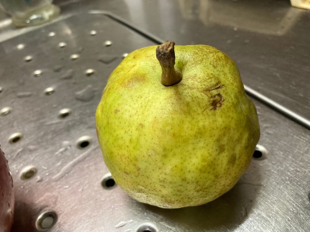 洋梨ラ・フランス