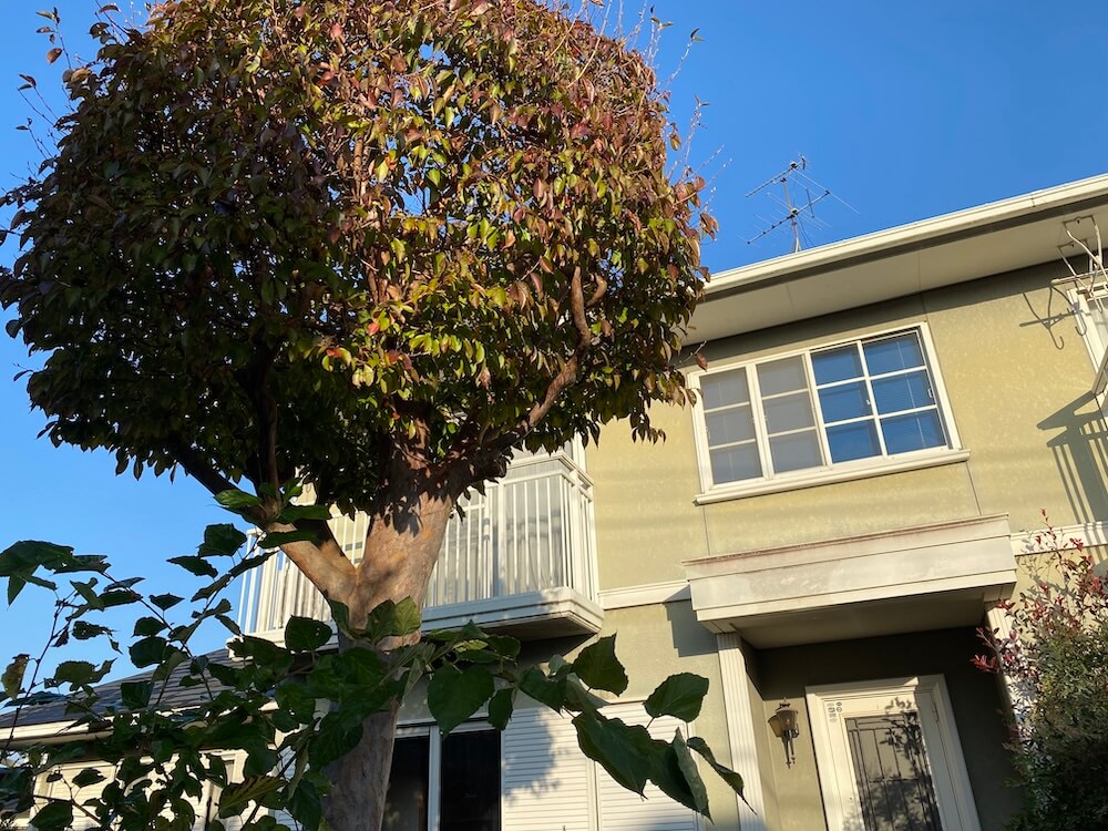 青空の熊本の家