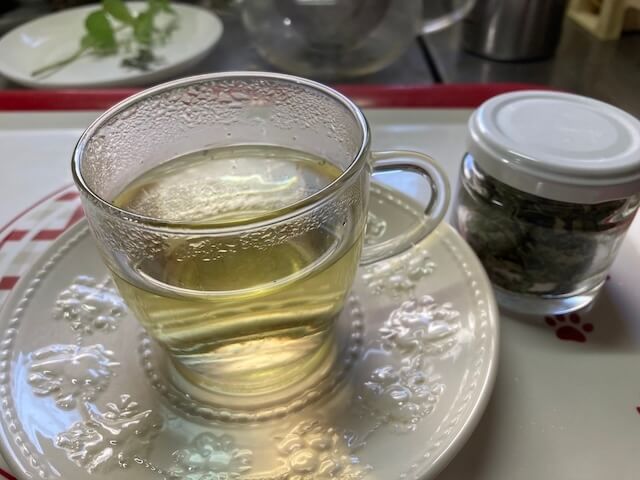 抗ウイルス作用が高いエキナセアハーブティー