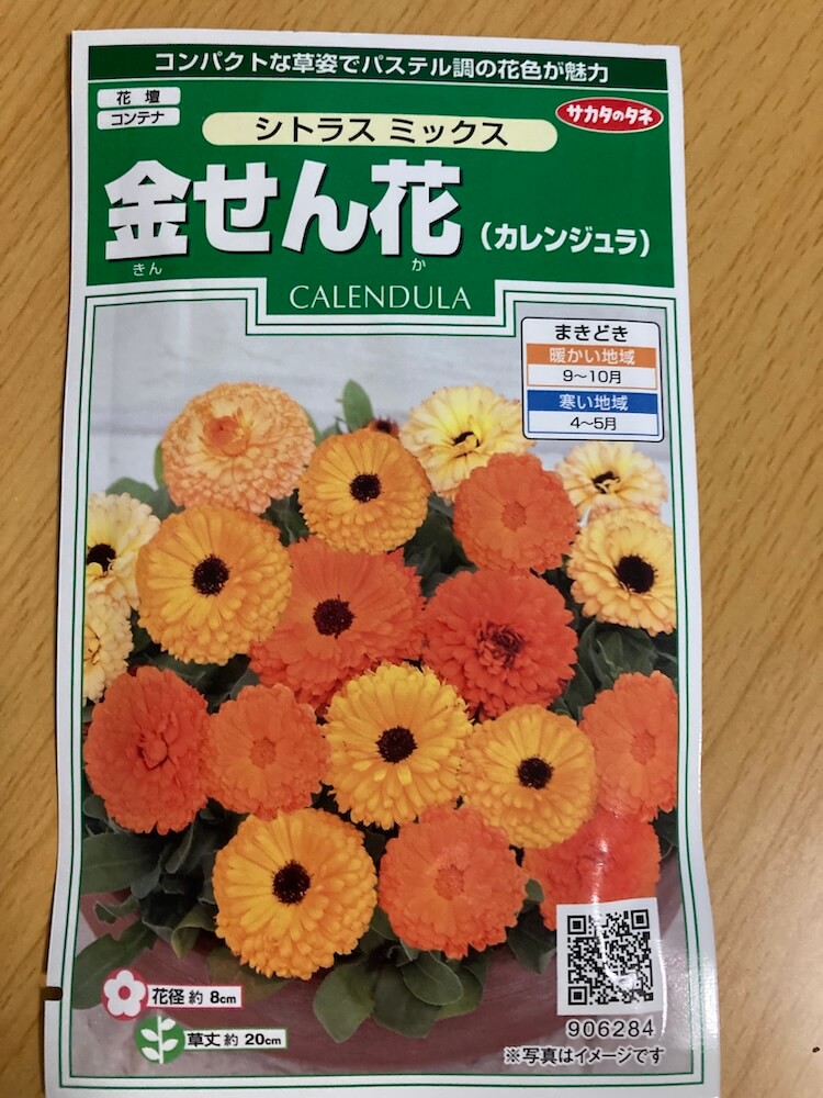 キンセンカの種