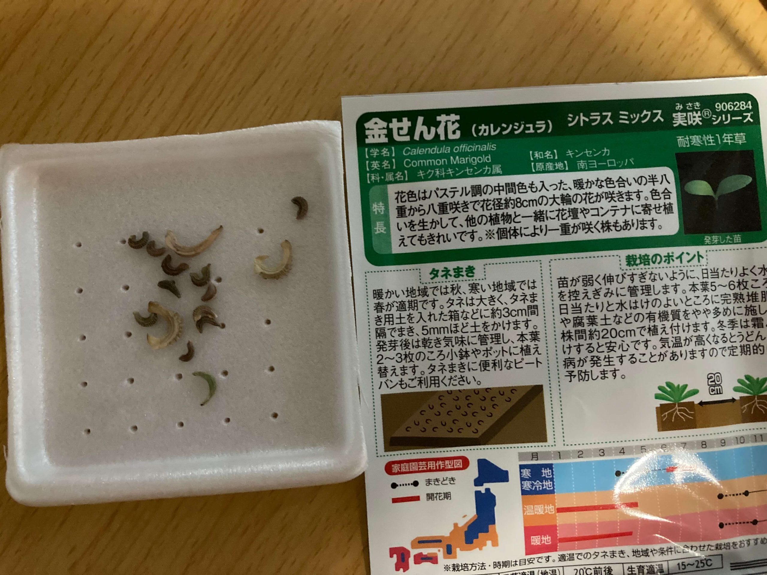 キンセンカの種と説明書き