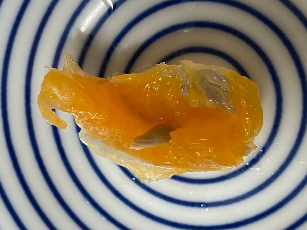 沖縄みかんの種