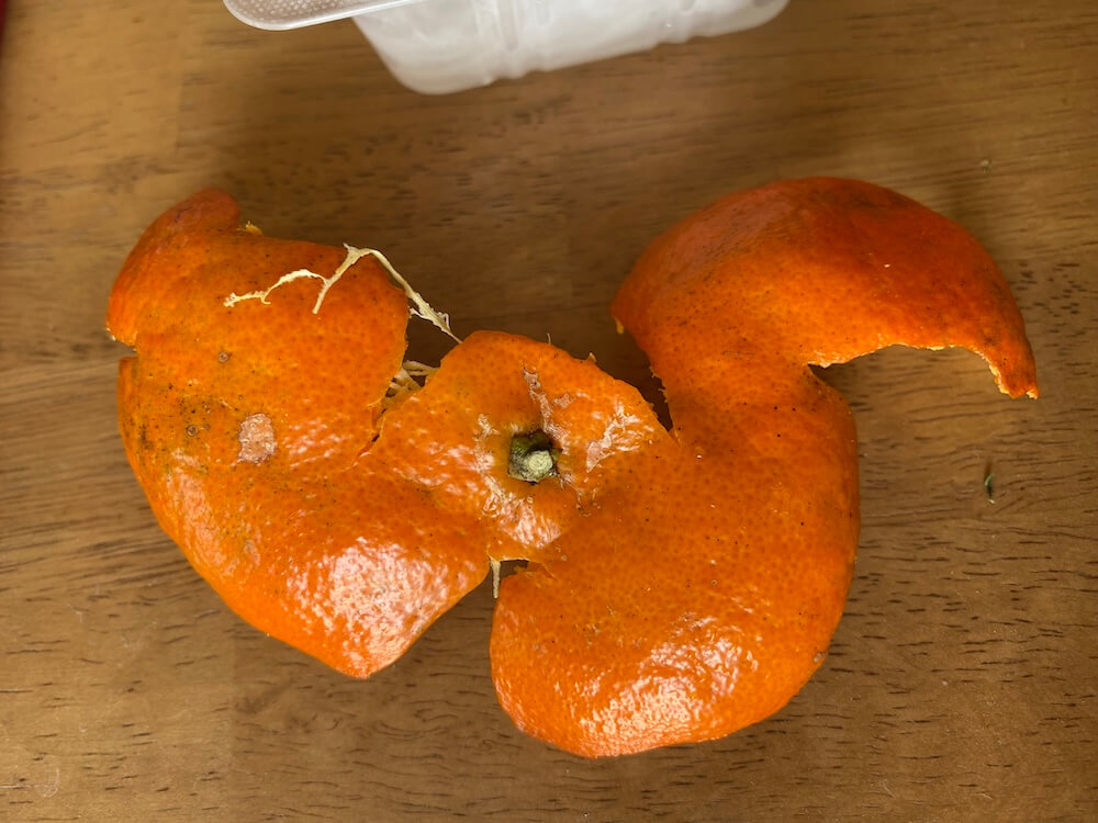 沖縄みかんの皮を乾かして