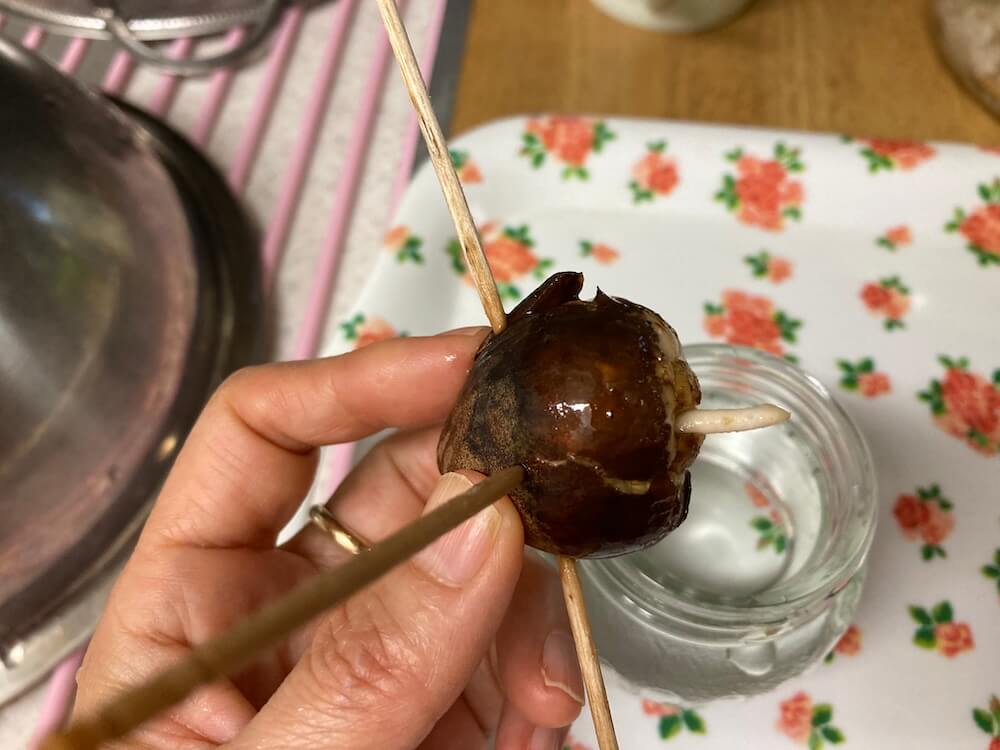 アボカドから根っこ