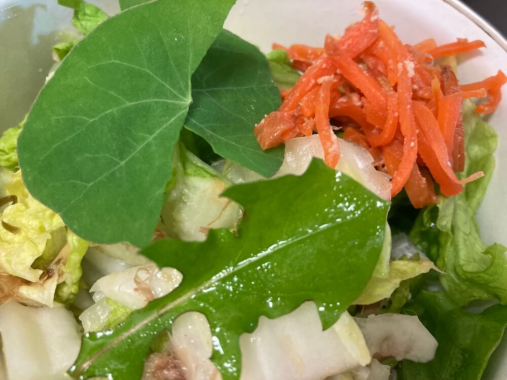 美味しいナスタチウムとタンポポの葉っぱ