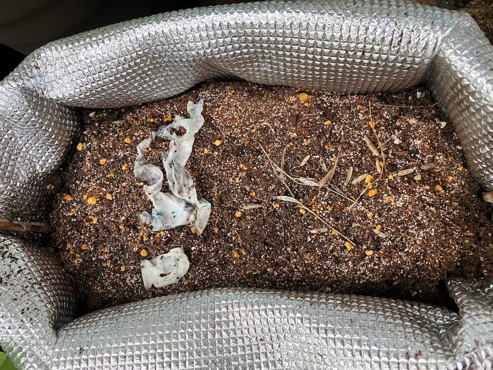 バジルとルッコラを植えた手作りプランター