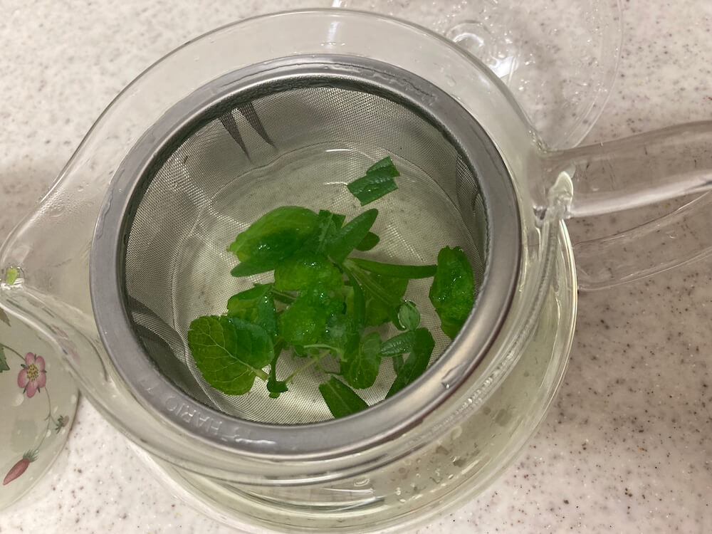 フレッシュハーブティー