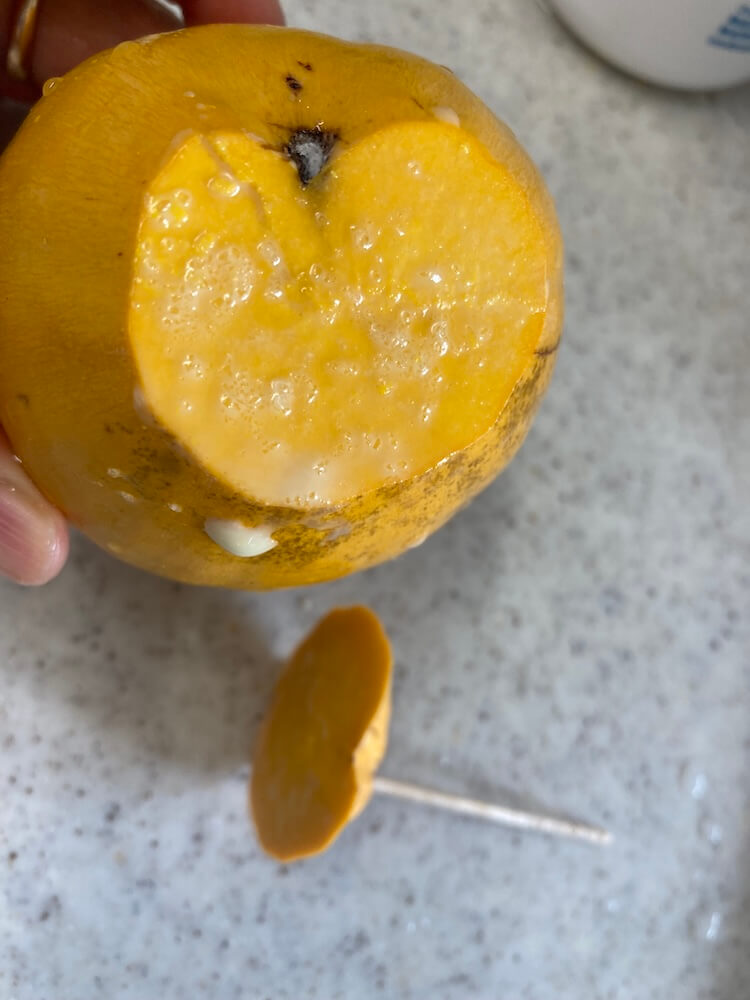 塩を練り込んで爪楊枝で蓋