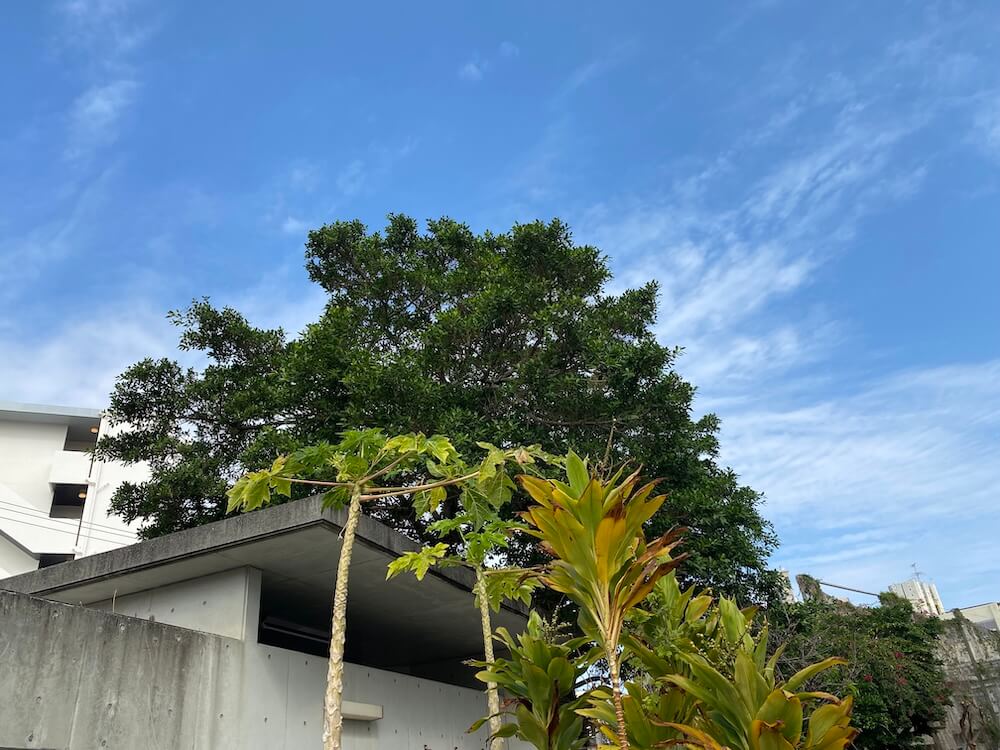 那覇の街角で見た空