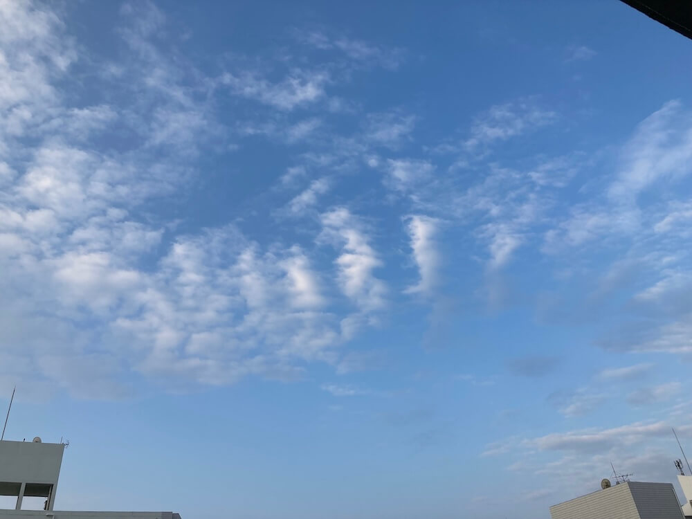 2026年3/29の朝の空