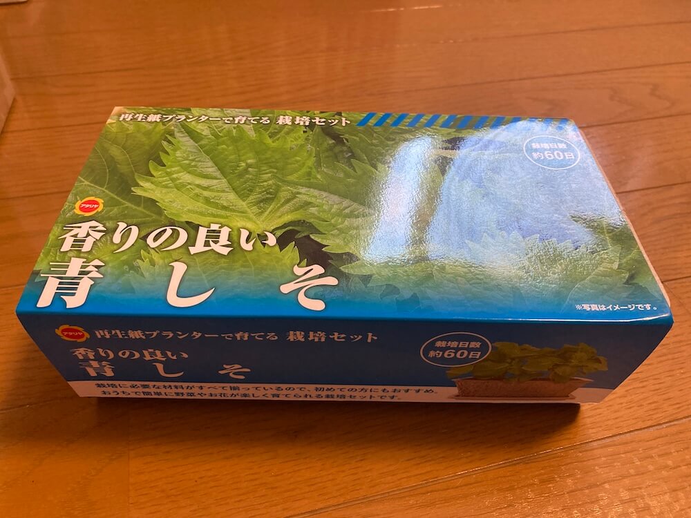 青しそ種まきセット