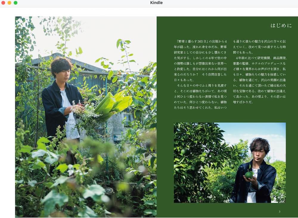 野草がハーブやスパイスに変わる時表紙kindle