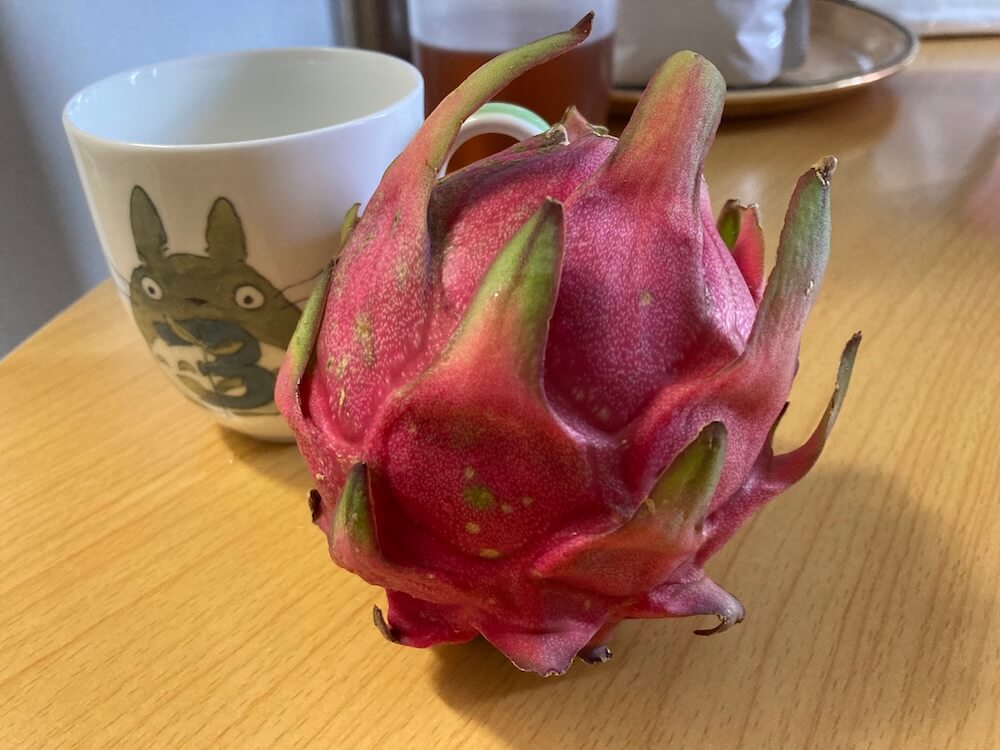 レッドドラゴンフルーツの大きさ