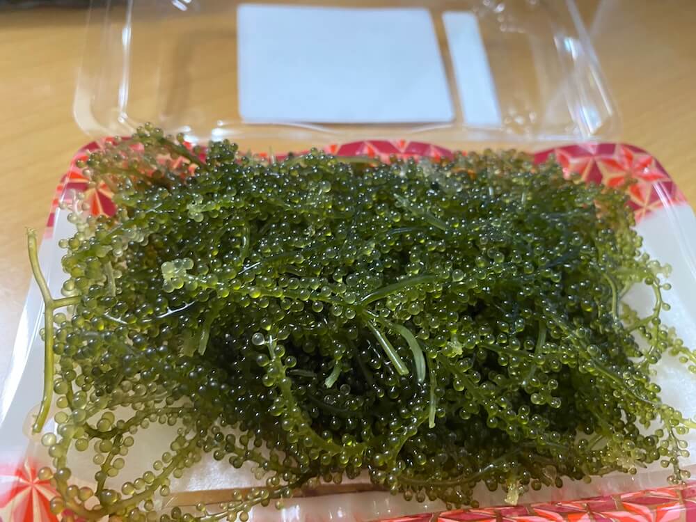 海ぶどう